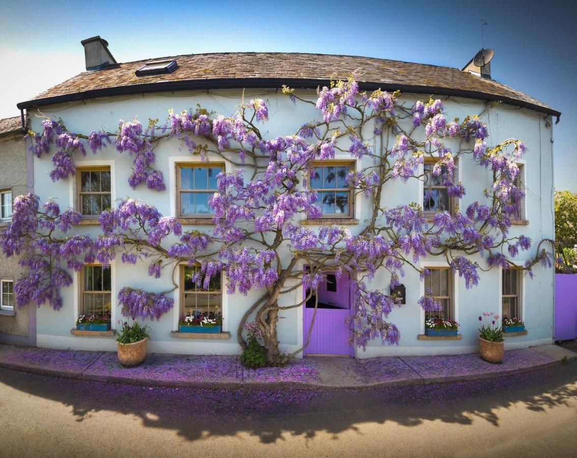 Deerpark Cottage, Inistioge, Kilkenny Buitenkant foto